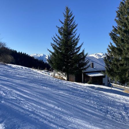 Ein Haus mit Schnee auf dem Dach und einem Baum davor ist auf einem verschneiten Berg mit klarem blauem Himmel zu sehen.