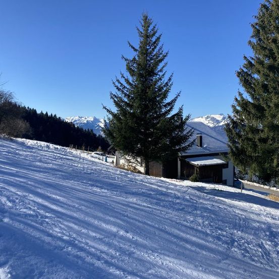 Ein Haus mit Schnee auf dem Dach und einem Baum davor ist auf einem verschneiten Berg mit klarem blauem Himmel zu sehen.