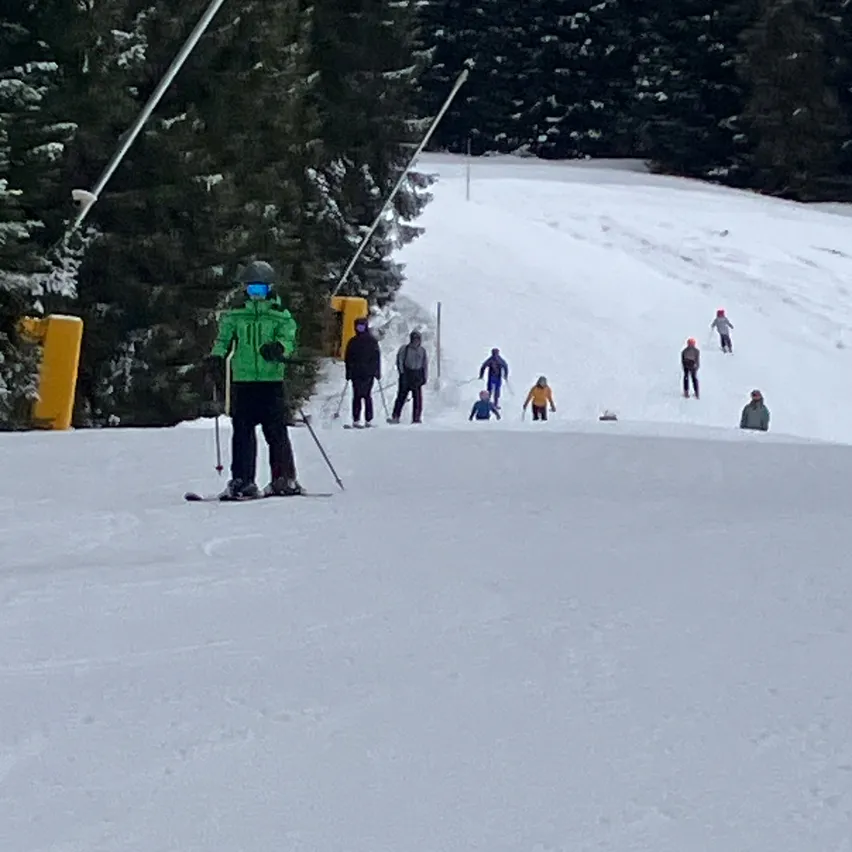 Ein Skifahrer in einer grünen Jacke steht oben auf einem verschneiten Hügel, mit mehreren anderen Skifahrern dahinter. Im Hintergrund sind immergrüne Bäume und ein klarer Himmel zu sehen.