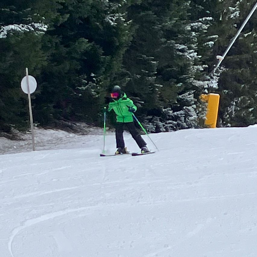 Ein Skifahrer in einer grünen Jacke fährt einen schneebedeckten Hang hinunter, mit Tannen im Hintergrund.