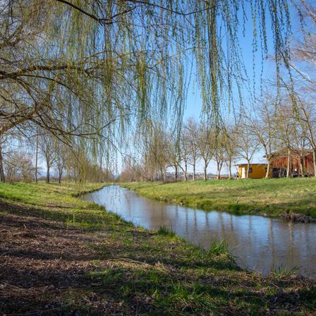 Eine friedliche Landschaft mit einem mäandernden Fluss, einem weinenden Weidenbaum und einem gelben Haus in der Ferne unter einem klaren blauen Himmel.