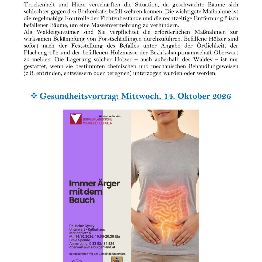 Poster for a health lecture on October 14, 2026, featuring a woman holding her stomach with an illustration of a stomach with intestines and a red glow, indicating discomfort.
