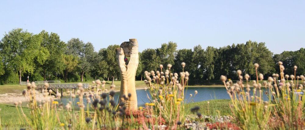 Bild enthält, Grass, Nature, Outdoors, Park, Pond, Scenery, Vegetation, Landscape, Tree, Field