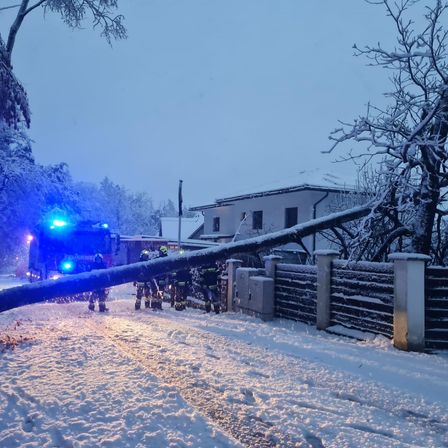 Rettungskräfte räumen einen umgestürzten Baum, der die Straße blockiert, während einer verschneiten Nacht.