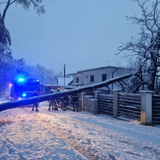 Rettungskräfte räumen einen umgestürzten Baum, der die Straße blockiert, während einer verschneiten Nacht.