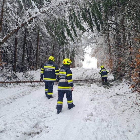 Drei Feuerwehrleute gehen in einem verschneiten Wald und räumen Äste von einer umgestürzten Stromleitung weg.