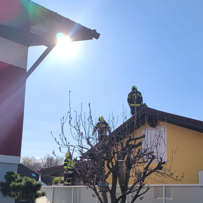 Drei Feuerwehrleute in gelben Helmen stehen auf einem Dach unter einer strahlenden Sonne, neben einem kahlen Baum. Das Haus hat gelbe Wände und ein braunes Dach.