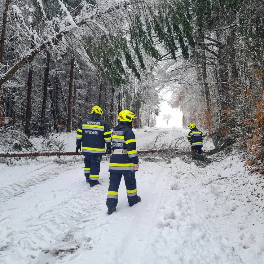 Drei Feuerwehrleute in Uniform gehen in einem verschneiten Wald und räumen Äste von einem umgestürzten Baum vom Weg weg.