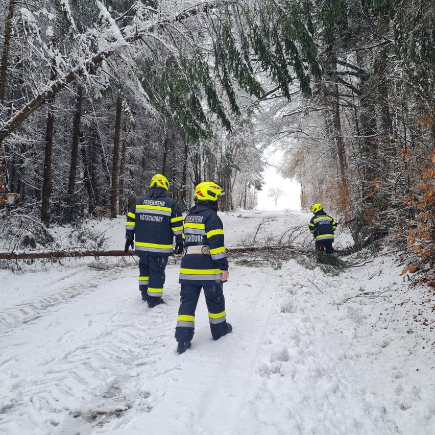 Drei Feuerwehrleute in Uniform gehen in einem verschneiten Wald und räumen Äste von einem umgestürzten Baum vom Weg weg.