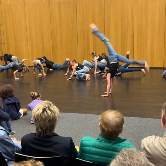 Person, Boy, Child, Male, Adult, Female, Woman, Dancing, Group Performance, Head