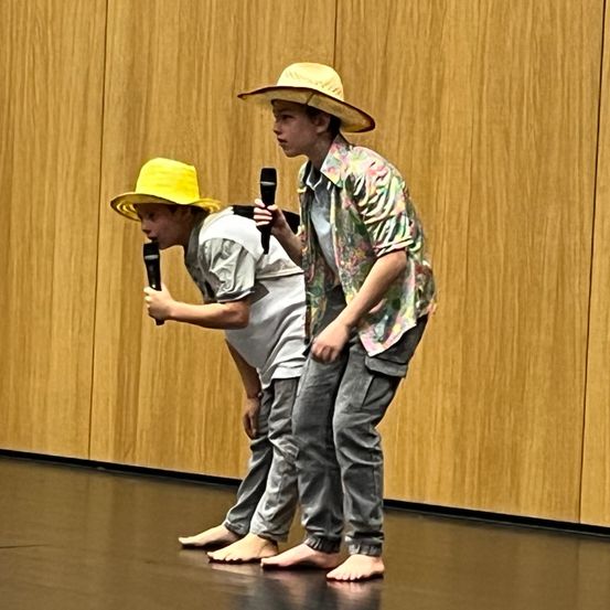 Hat, Sun Hat, Adult, Male, Man, Person, Solo Performance, Wood, Face, Pants