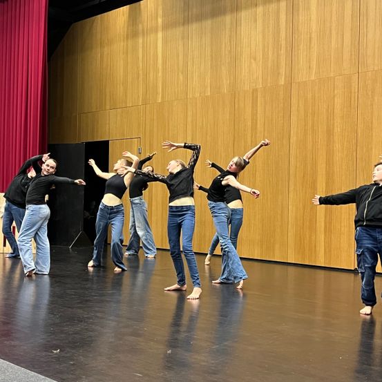 Dancing, Person, Group Performance, Adult, Female, Woman, Male, Man, People, Jeans