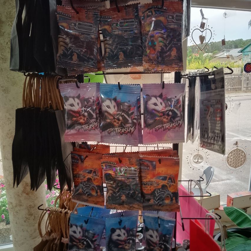 A display of merchandise featuring various designs, including raccoons and trucks, hangs on a rack in a shop.