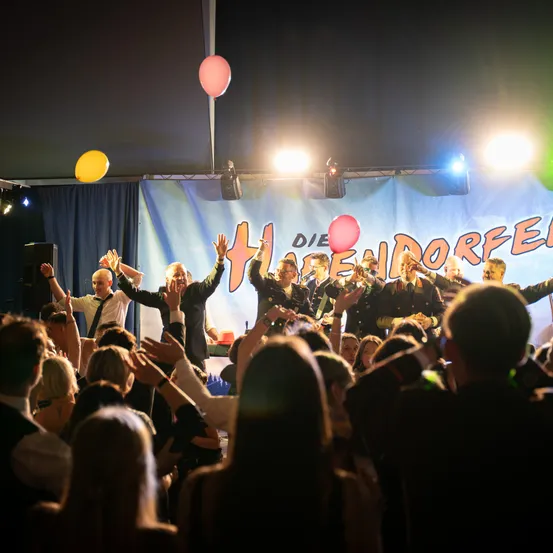 Eine Band spielt auf der Bühne vor einem Publikum. Sie halten Luftballons hoch und das Publikum jubelt. Hinter der Band befindet sich ein Banner mit den Worten 'Die Dorffe'.
