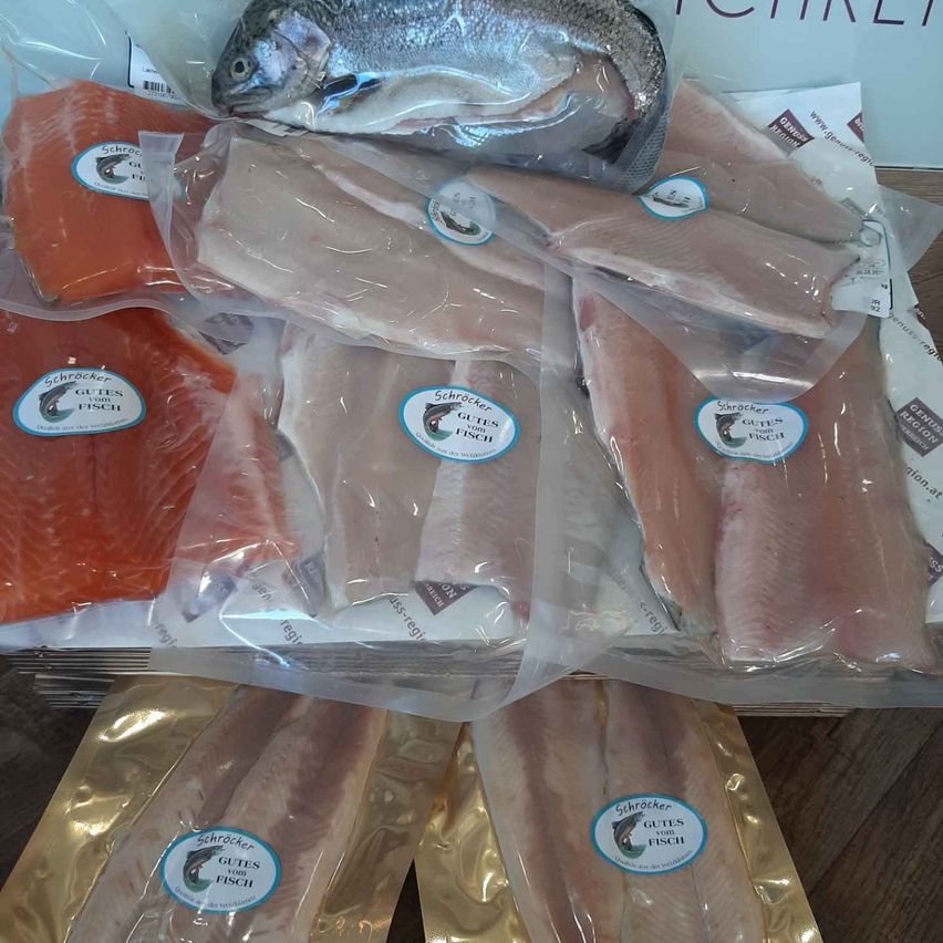 v1_migrated_image_413099