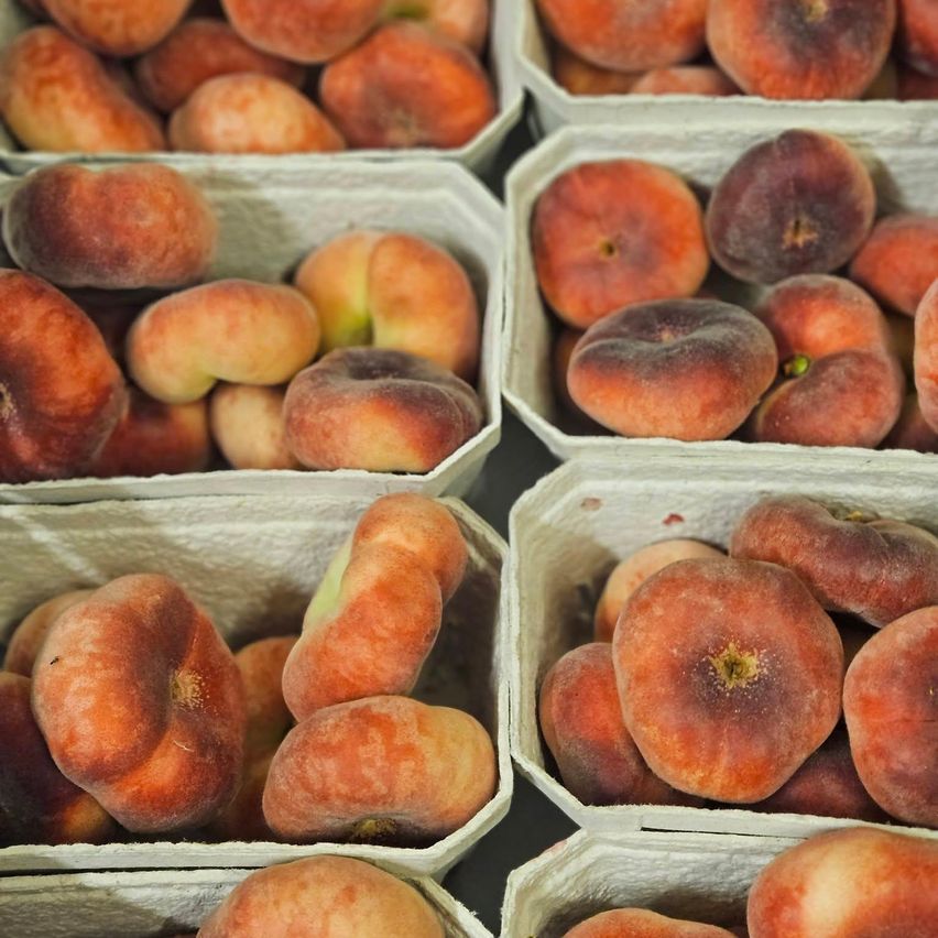 Multiple white cartons filled with ripe peaches, arranged in a neat display. Each peach has a distinct color, ranging from light to dark orange.
