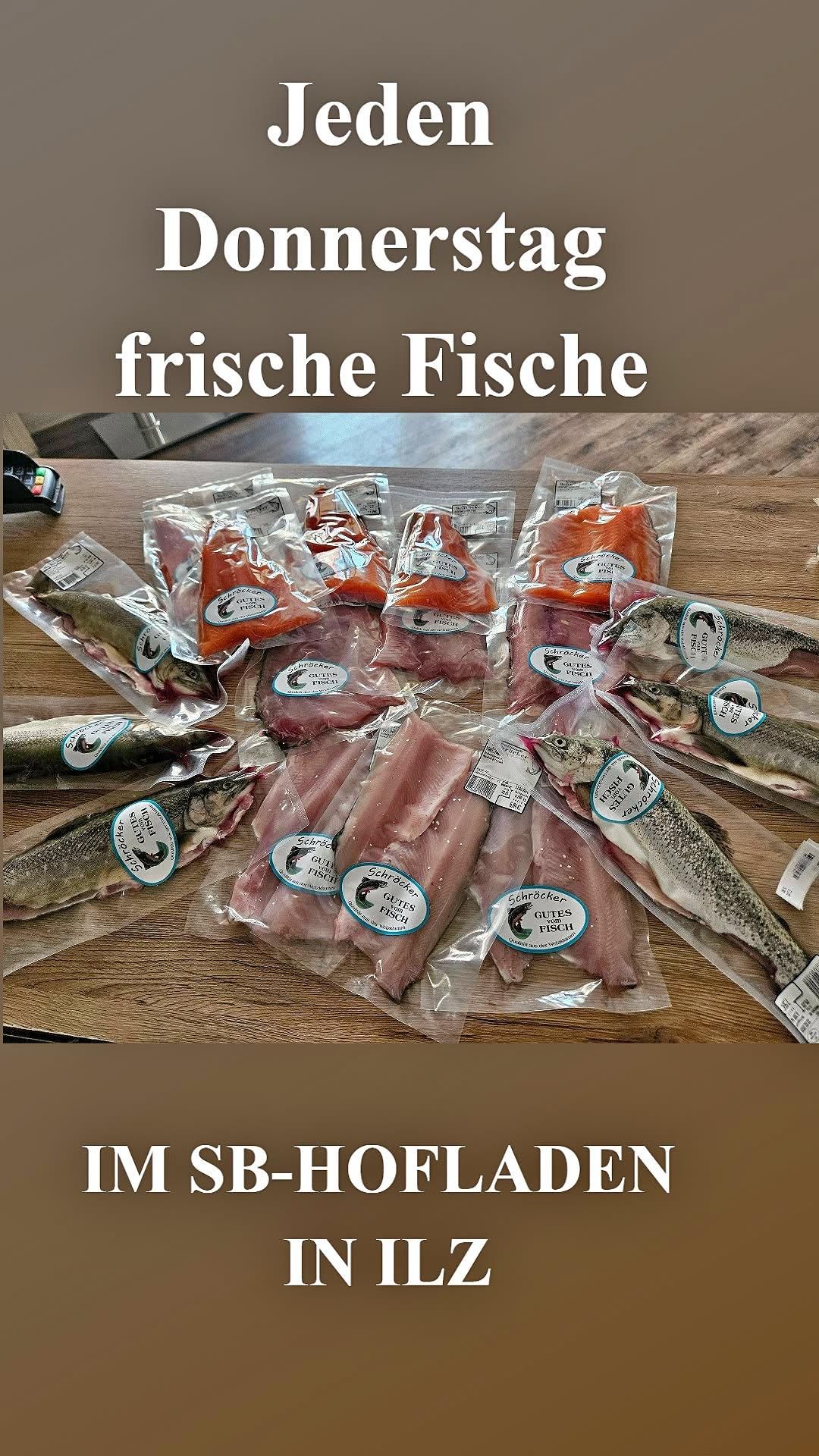 A wooden table displays various types of fish in plastic packaging, labeled with 'frische Fische'. The fish include salmon, trout, and other varieties, all neatly arranged.