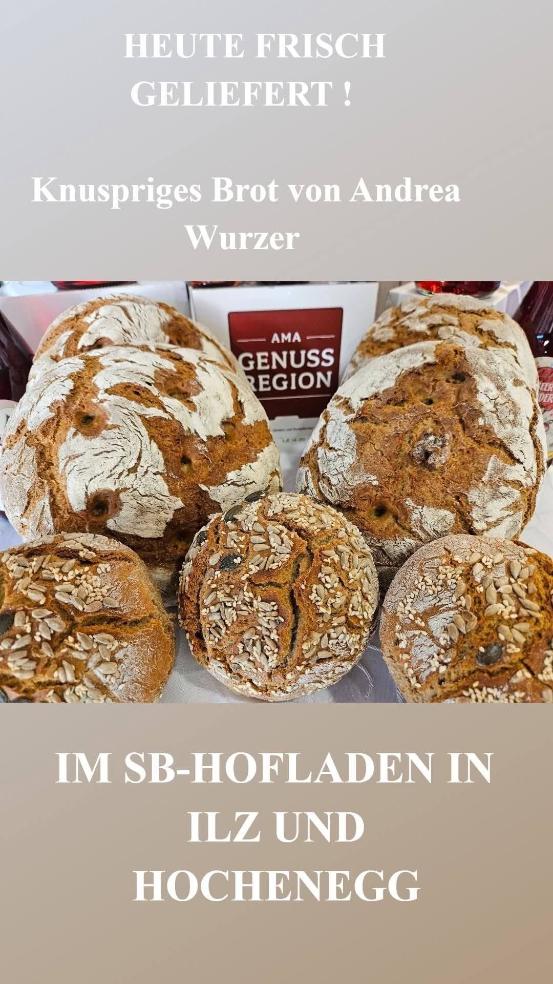 Eine Nahaufnahme von mehreren runden Brotlaiben mit Samen darauf, auf einer weißen Oberfläche angeordnet. Das Brot hat eine goldbraune Kruste und eine leicht gecrackte Oberfläche. Der Text 'AMA GENUSS REGION' ist auf einem roten Etikett im Hintergrund sichtbar.