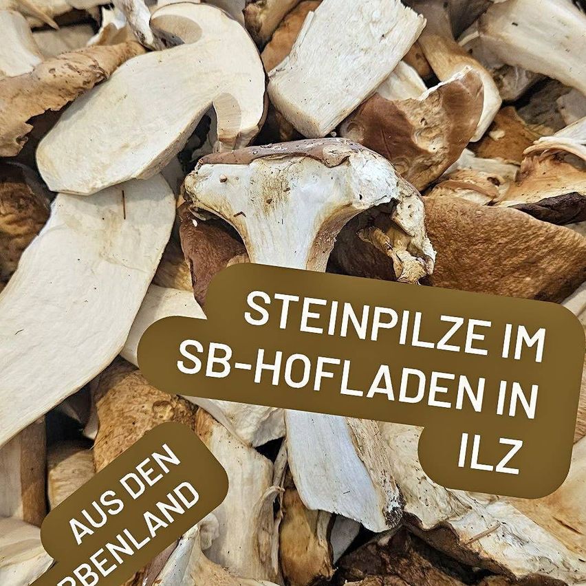 A pile of dried mushrooms with text overlay reading 'Steinpilze im SB-Hofladen in ILZ'. The mushrooms are brown and white with some brown spots.