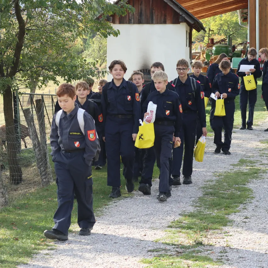 Eine Gruppe von Kindern in Uniformen geht auf einem Kiesweg und hält gelbe Taschen. Dahinter steht ein Gebäude mit einer roten Bank und einem Zaun mit Schafen.