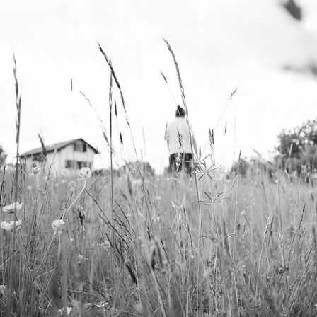 Eine Person geht durch ein hohes Grasfeld mit einem Haus im Hintergrund.