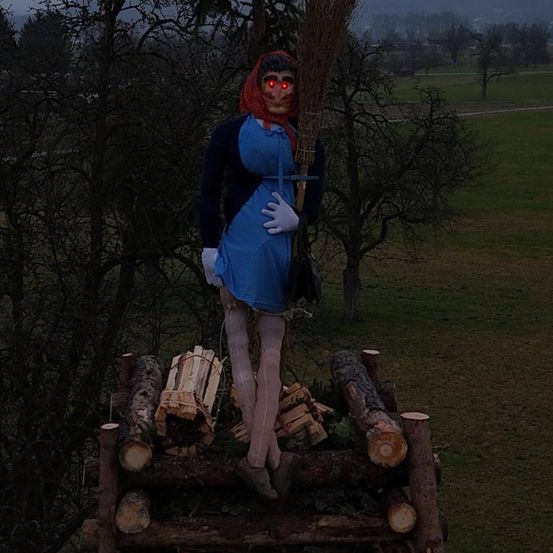 Bild enthält, Tree, Wood, Adult, Female, Person, Woman, Glove, Bag, Coat, Vegetation