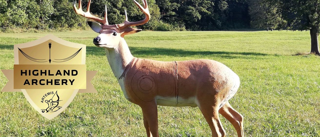 Bild enthält, Deer, Mammal, Grass, Antelope, Vegetation, Elk, Tree, Antler, Impala, Outdoors