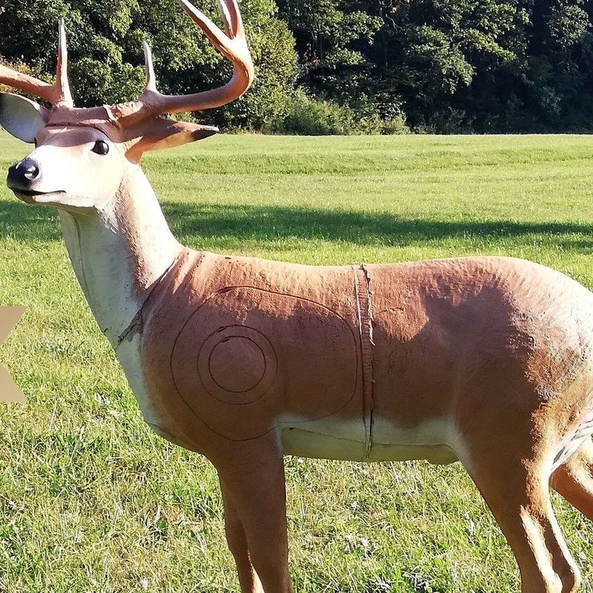 Bild enthält, Deer, Mammal, Grass, Antelope, Vegetation, Elk, Tree, Antler, Impala, Outdoors