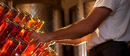 Ein Mann in einem weißen T-Shirt inspiziert eine Sammlung von bernsteinfarbenen Flaschen, die mit Flüssigkeit gefüllt sind. Er steht in einem Raum mit schwachem Licht.