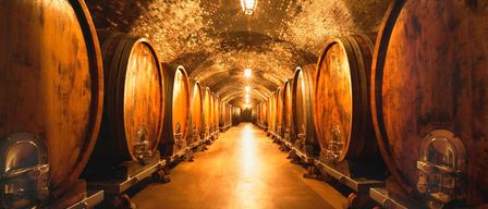 A dimly lit room with wooden barrels, illuminated by a lamp, lined up on both sides, with a pathway in between.
