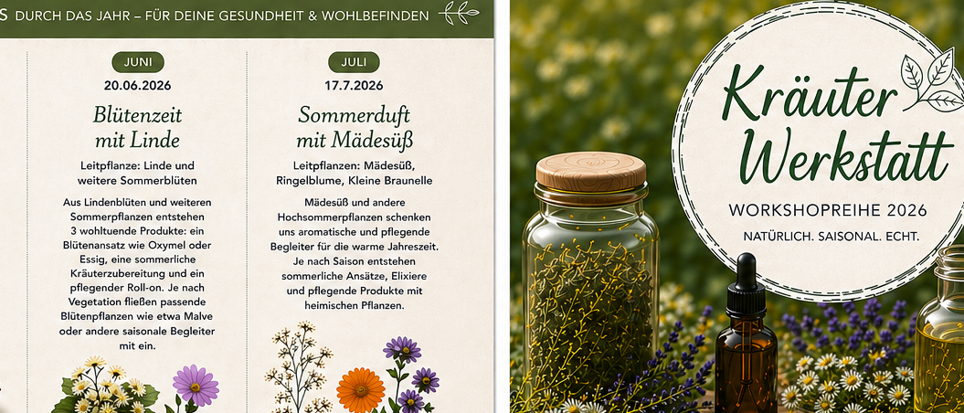 Workshopreihe 2026. Pflanzenkraft erleben - Wissen weitergeben - für deine Gesundheit & Wohlbefinden. Herbstkraft mit Kornelkirsche, 17.10.2026. Kontakt: www.kraeftereich.at.