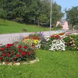 Ein Blumenbeet am Straßenrand mit einer Vielzahl von roten, weißen und rosa Blumen in einem Rasenbereich mit Häusern und Bäumen im Hintergrund.