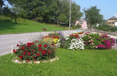 Ein Blumenbeet am Straßenrand mit einer Vielzahl von roten, weißen und rosa Blumen in einem Rasenbereich mit Häusern und Bäumen im Hintergrund.