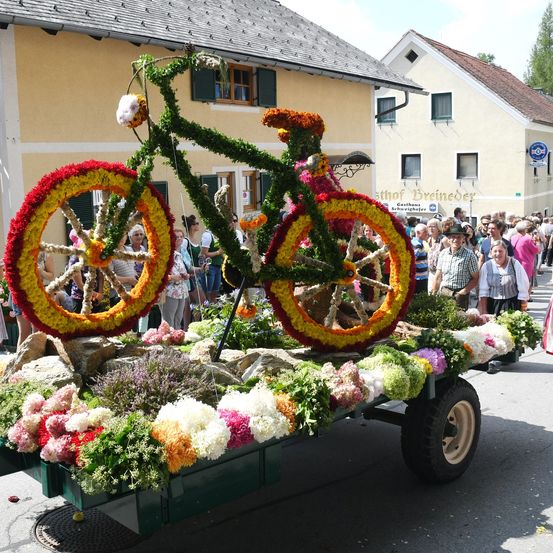 Ein blumengeschmücktes Fahrrad auf einem Anhänger, der von einem Lastwagen gezogen wird, ist Teil einer Parade. Viele Menschen beobachten.