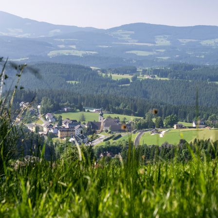 Luftaufnahme eines Dorfes umgeben von üppigen grünen Wäldern und Hügeln unter klarem Himmel.