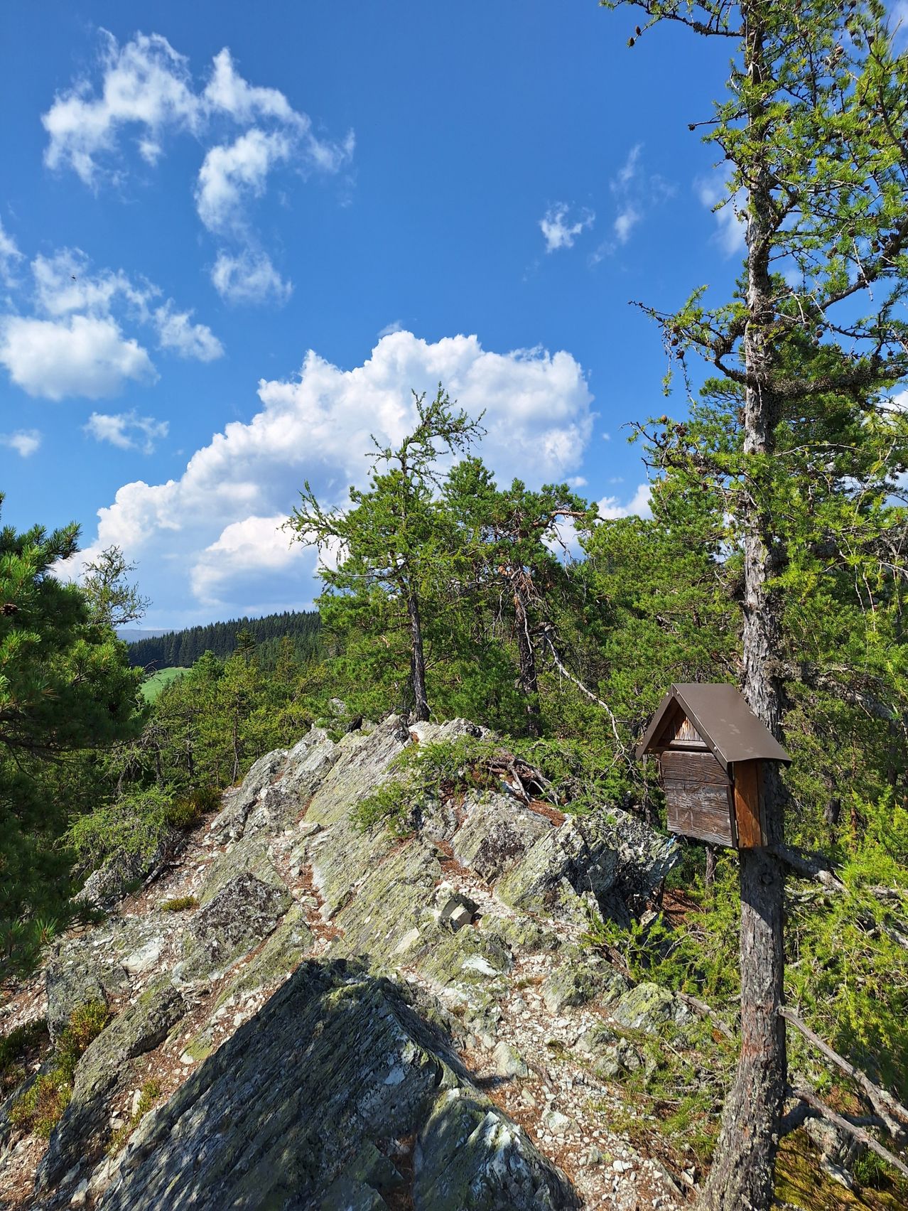 A wooden birdhouse is perched on a rocky hill in a forest, under a blue sky with scattered clouds.