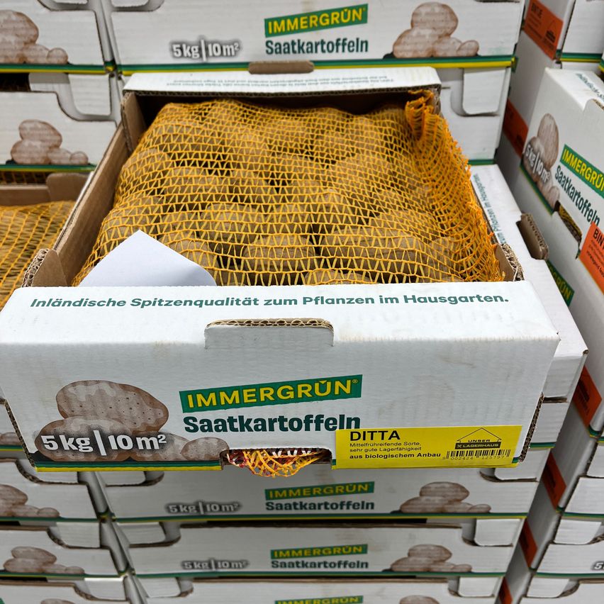 Bild enthält, Box, Food, Honey, Honeycomb, Shop, Cardboard, Carton