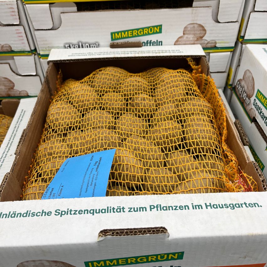 Bild enthält, Citrus Fruit, Food, Fruit, Produce, Grapefruit, Box, Business Card