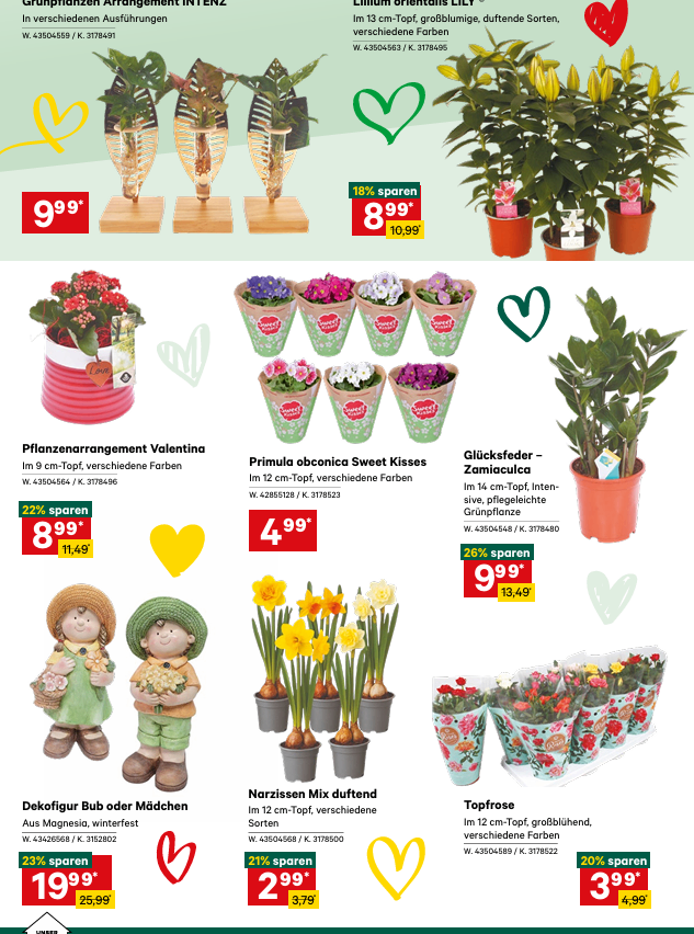 A flyer shows different plants and their prices. Top left is a Valentine plant arrangement in a red pot for 8.99. Below, a Sweet Kisses primula is 4.99. On the right, a Zamioculca plant is 9.99. Bottom left is a figurine of two girls for 23% off. Below, a mix of daffodils is 21% off. On the right, a topiary is 20% off.