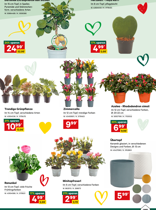 Discounted green plants. 14 cm pot, various types. Art. 425065438, 32.99. Indoor plant, 12 cm pot, various colors. Art. 42490907, 9.99. Azalea, 12 cm pot, various colors. Art. 30657799, 6.99. Top choice ceramic, 6 cm pot, various colors. Art. 43427090, 5.99.