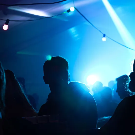 Ein Mann in Silhouette sticht gegen einen blauen Hintergrund hervor. Im Vordergrund ist eine Gruppe von Menschen versammelt, wahrscheinlich bei einem Konzert. Über ihnen sind kleine Lichter aufgereiht.
