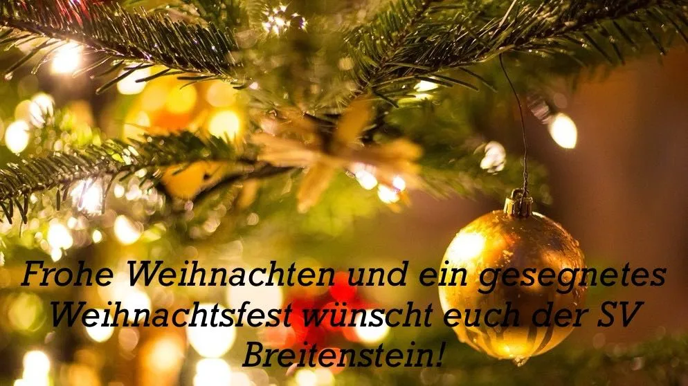 Plant, Tree, Christmas, Christmas Decorations, Festival, Christmas Tree