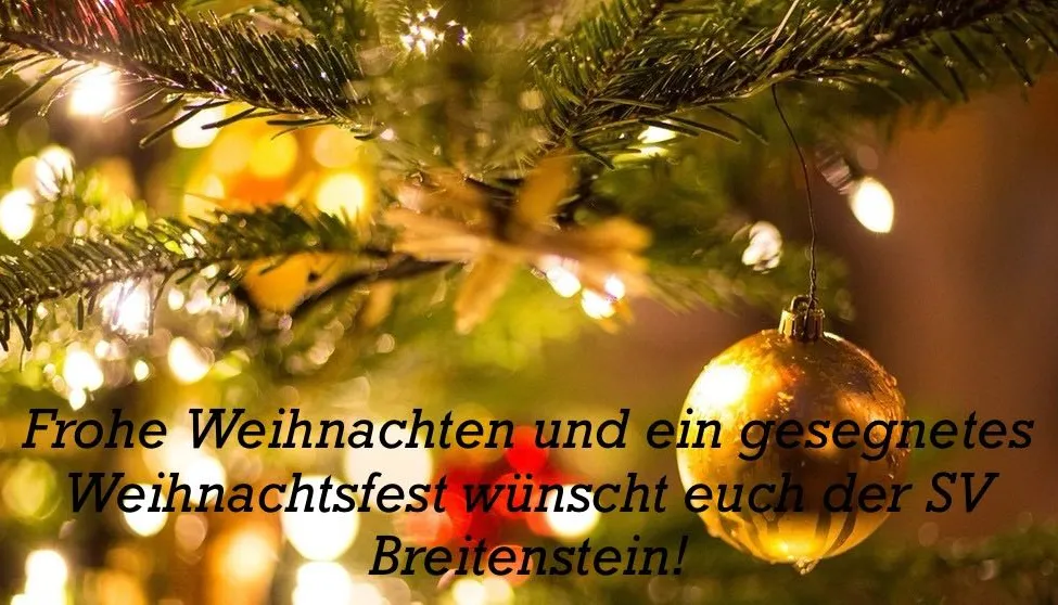 Plant, Tree, Christmas, Christmas Decorations, Festival, Christmas Tree