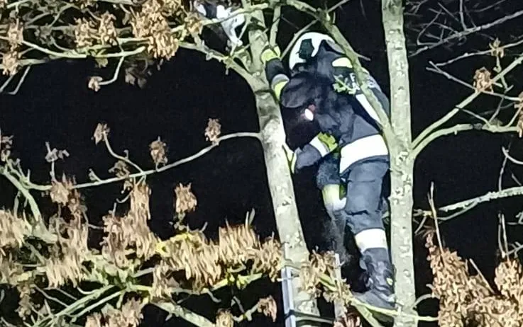 Ein Feuerwehrmann klettert nachts eine Leiter hoch. Er trägt die volle Ausrüstung.