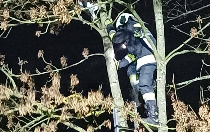 Ein Feuerwehrmann klettert nachts eine Leiter hoch. Er trägt die volle Ausrüstung.