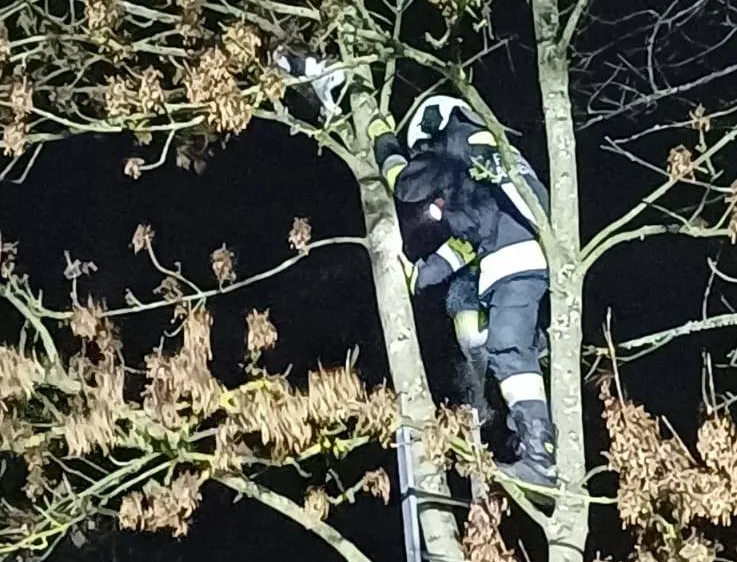 Ein Feuerwehrmann klettert nachts eine Leiter hoch. Er trägt die volle Ausrüstung.