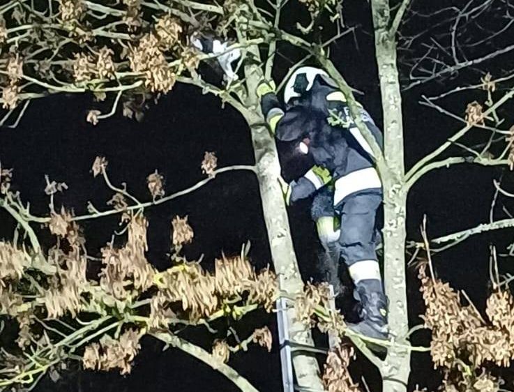 Ein Feuerwehrmann klettert nachts eine Leiter hoch. Er trägt die volle Ausrüstung.