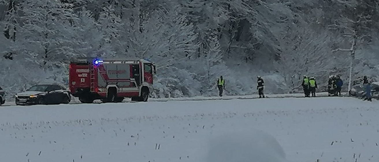 Ein Feuerwehrauto steht in einem verschneiten Gebiet, wo zwei Personen auf dem Schnee gehen. Das Fahrzeug ist mit einer Leiter an der Seite ausgestattet.