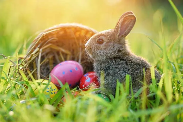 Ein kleiner Hase sitzt auf dem Gras in der Nähe eines Osterkorbs voller bunter Eier.