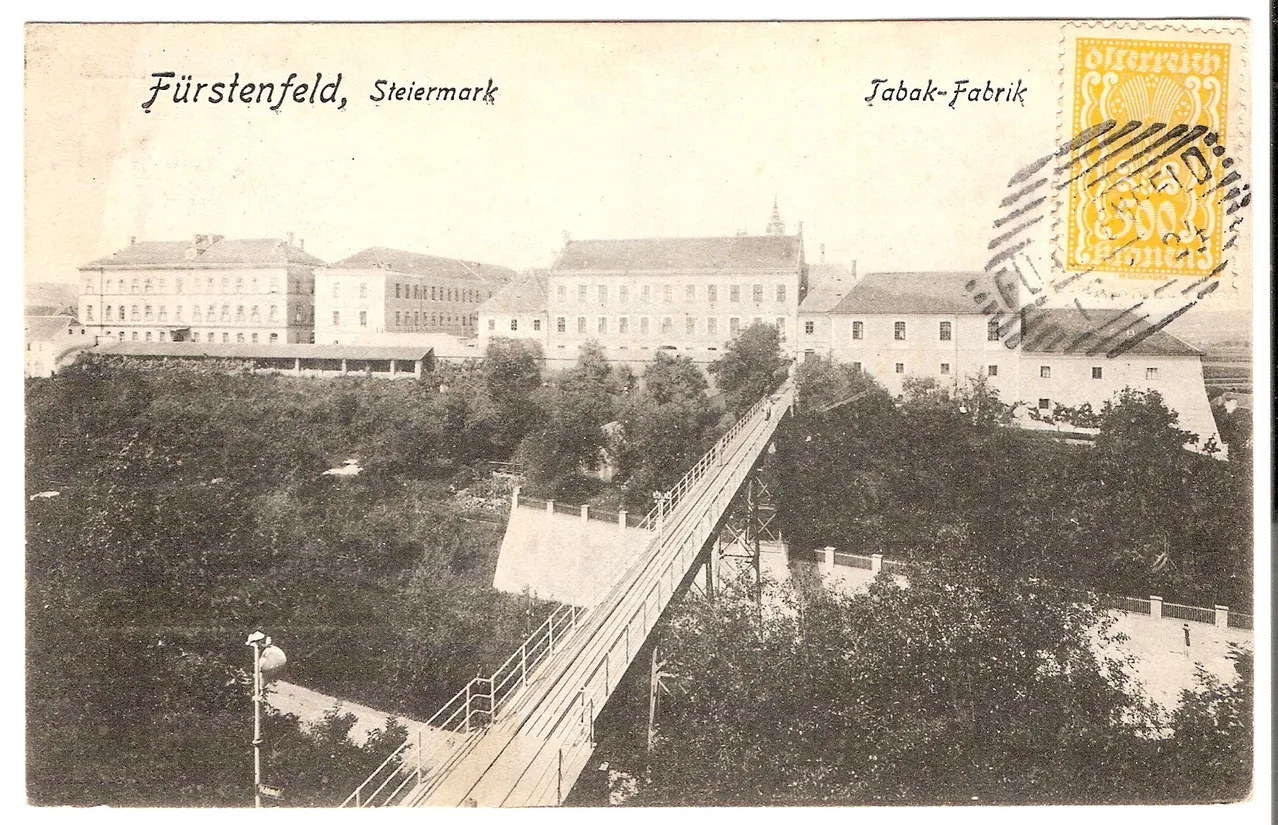 Ein altes Schwarz-Weiß-Foto einer Brücke über einem Tal mit Gebäuden im Hintergrund.